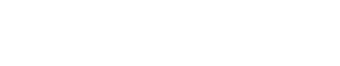 Sydney Auction Bidding -white logo
